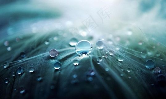 雨图片 雨图片