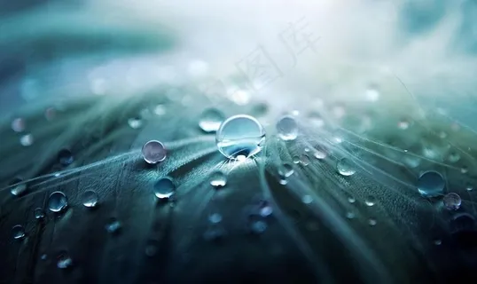 雨图片 雨图片