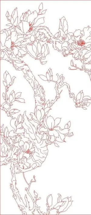 玉兰花开艺术玻璃白描图片