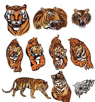 老虎图片
