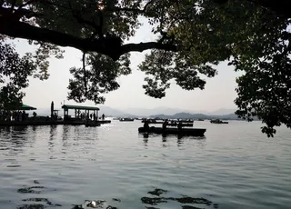西湖游船图片