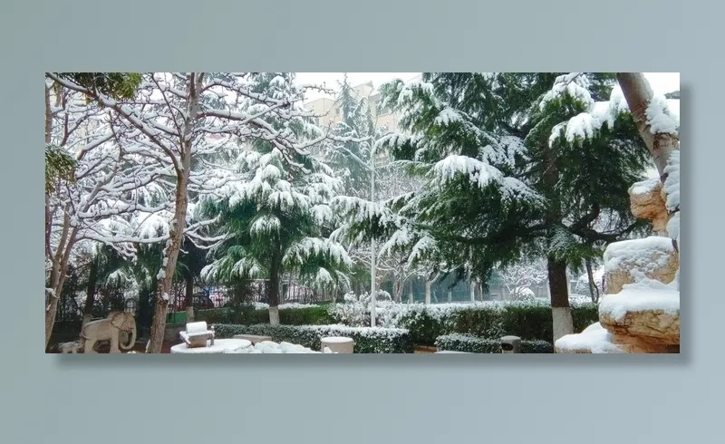 雪景图片