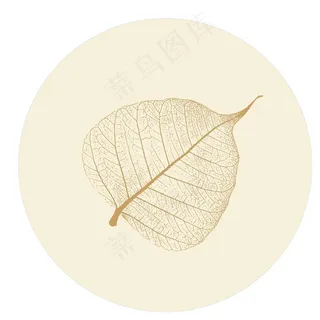 矢量图 菩提叶 菩提  叶脉图片