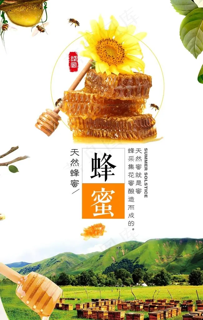 蜂蜜图片