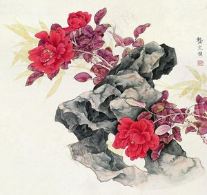 牡丹花图片