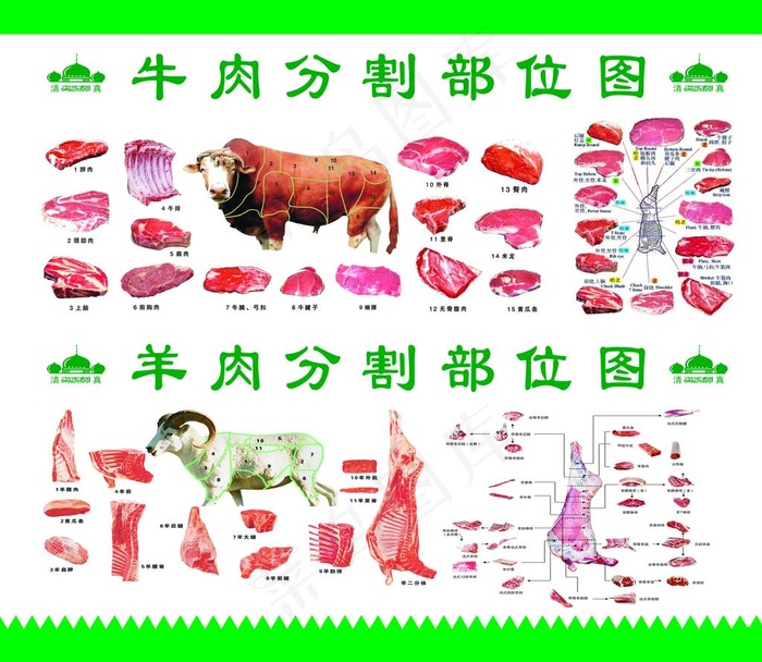 牛肉分割图 羊肉分割图图片(5670X5102(DPI:72))psd模版下载