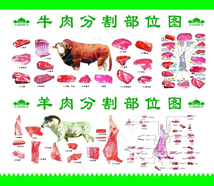 牛肉分割图 羊肉分割图图片