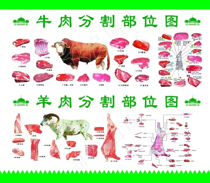 牛肉分割图 羊肉分割图图片(5670X5102(DPI:72))psd模版下载