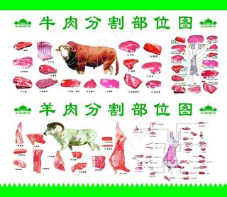 牛肉分割图 羊肉分割图图片