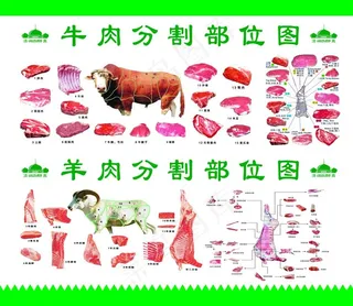 牛肉分割图 羊肉分割图图片