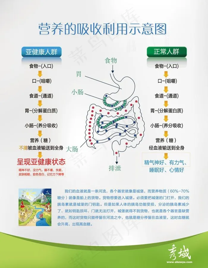 营养的吸收利用示意图图片ai矢量模版下载