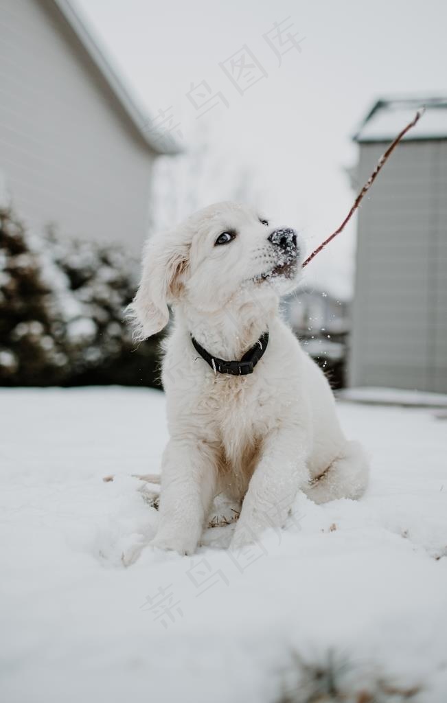 雪景图片