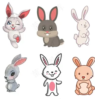 兔子图片