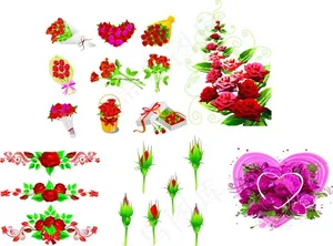 玫瑰花图片