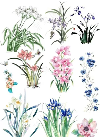 手绘花卉图片