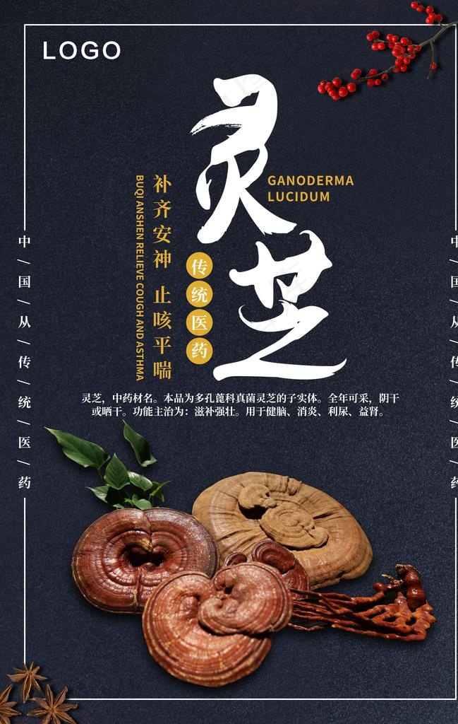 灵芝图片