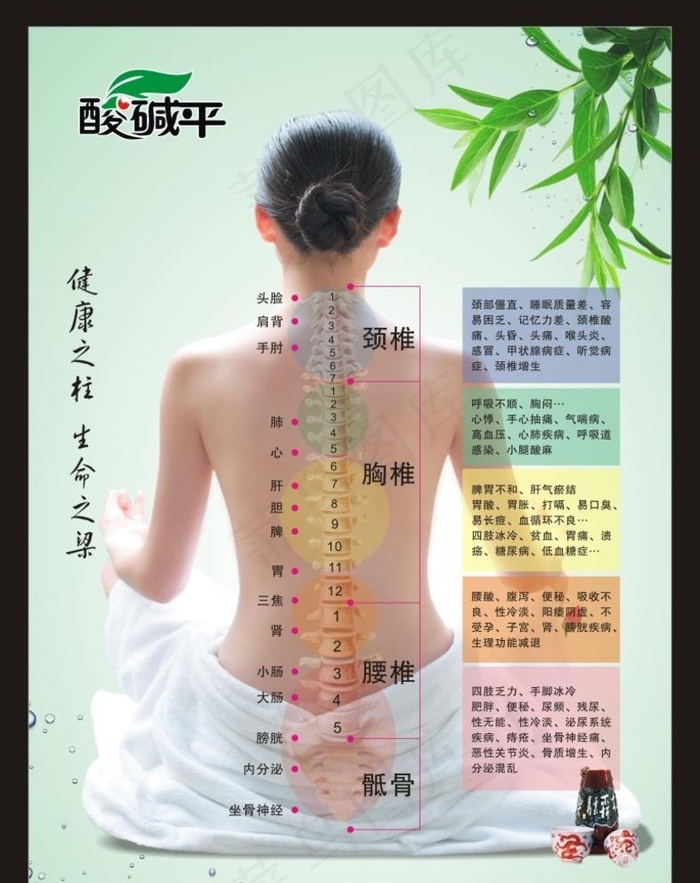 酸碱平脊椎养生图片(210X297)cdr矢量模版下载