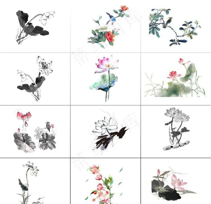 荷花图片(5669X5669(DPI:72))psd模版下载