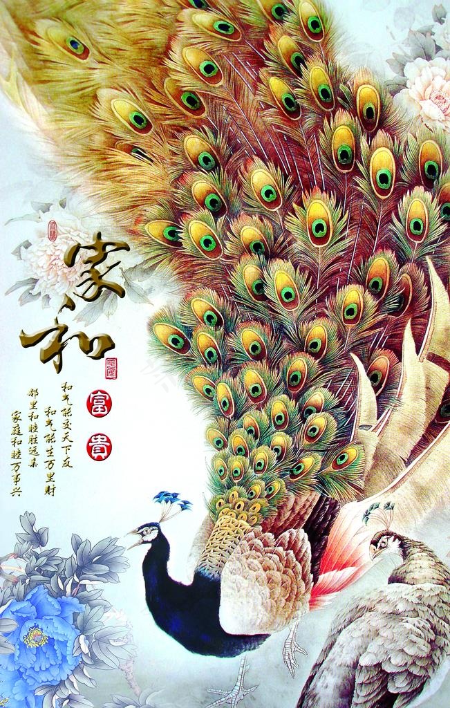 家和富贵 孔雀图片