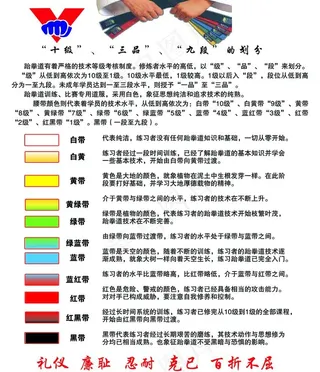 跆拳道分级图片