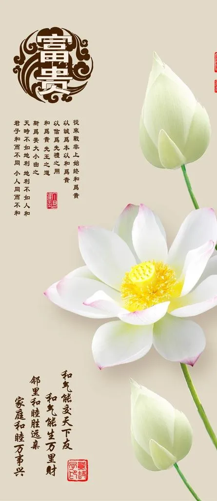 荷花玄关图片