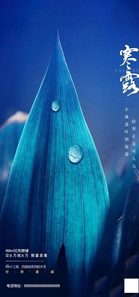 寒露图片cdr矢量模版下载
