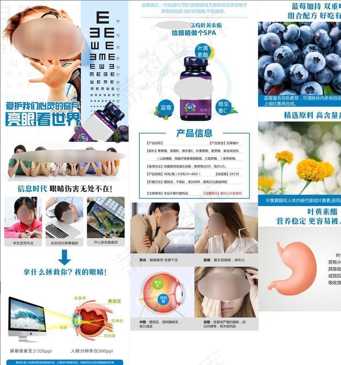 蓝莓叶黄素图片(210X297)cdr矢量模版下载