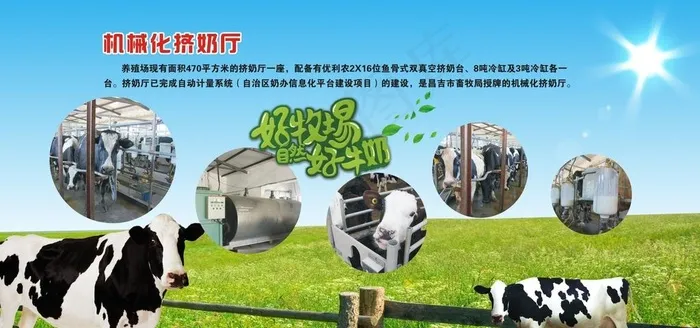奶牛  农场展板图片cdr矢量模版下载