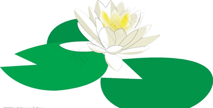 睡莲图片psd模版下载