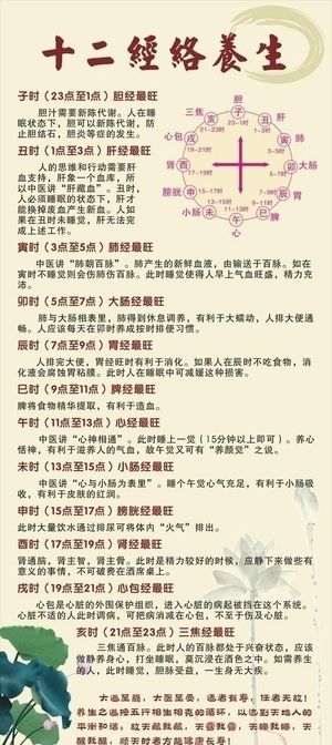 十二经络养生图片