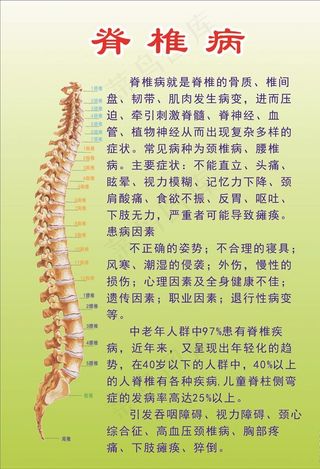 脊椎病简介图片