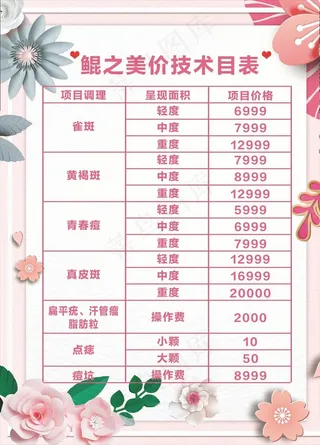 美容项目价目表图片