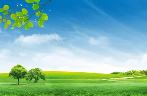 蓝天白云 草地图片