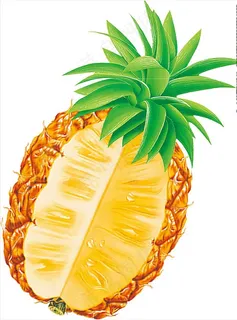 菠萝图片