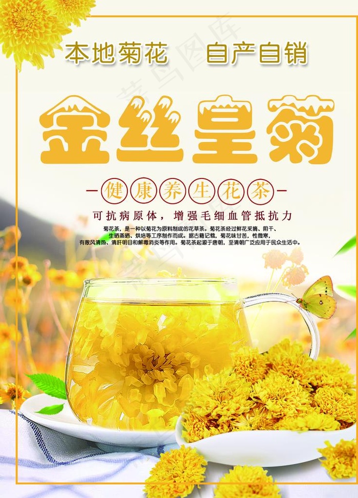 金丝皇菊图片(3543X4724(DPI:150))psd模版下载