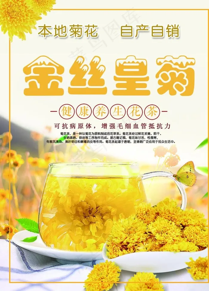 金丝皇菊图片(3543X4724(DPI:150))psd模版下载