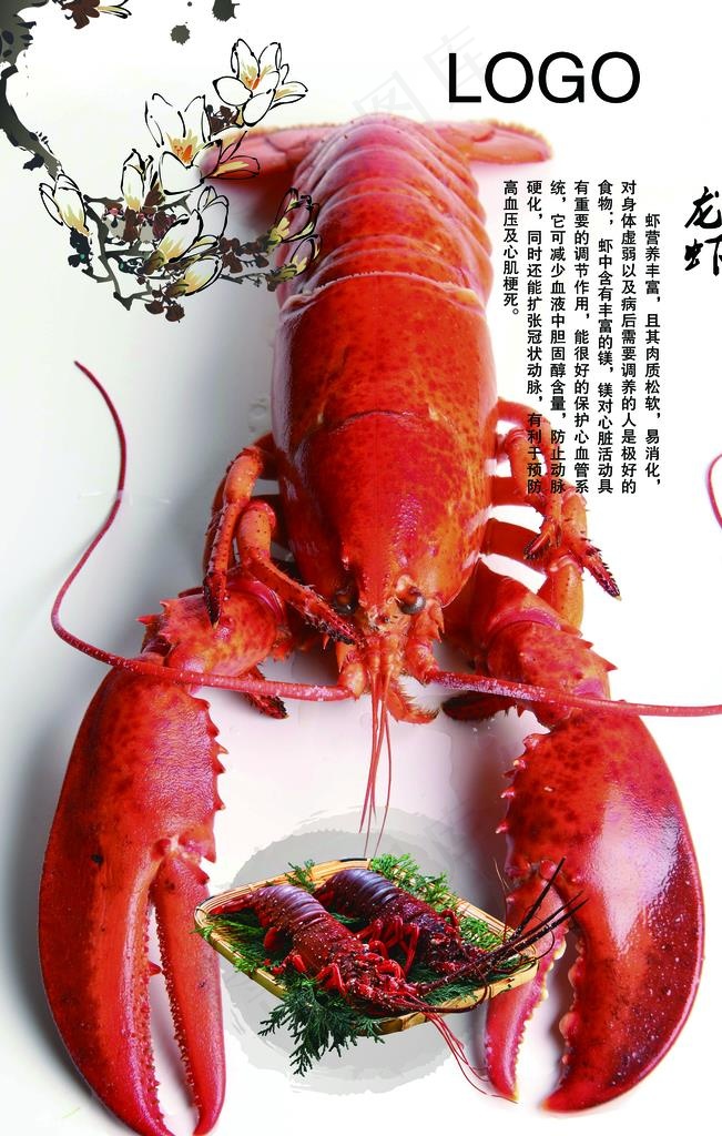 龙虾海报图片(2362X3543(DPI:100))psd模版下载