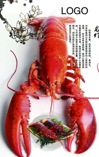 龙虾海报图片 龙虾海报图片