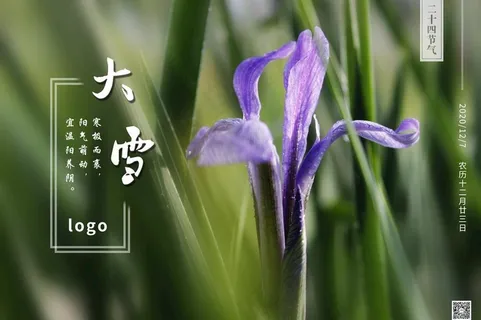 大雪图片 大雪图片