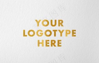烫金LOGO样机图片