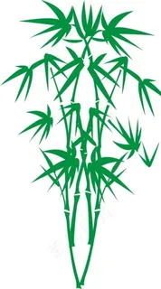 竹子图片