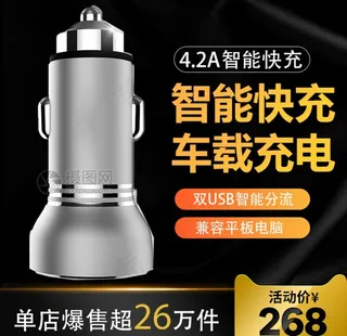车载充电器图片