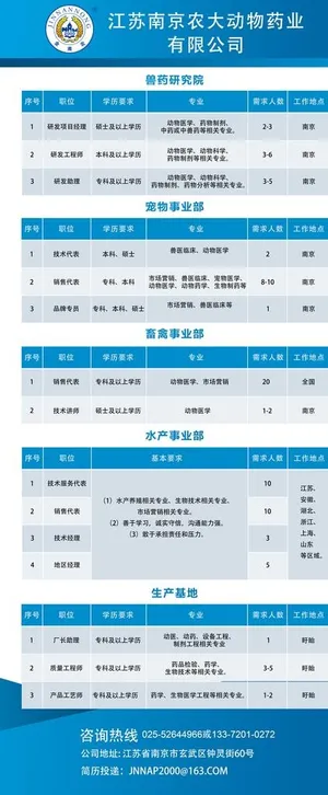 公司企业招聘表格宣传易拉宝 蓝图片