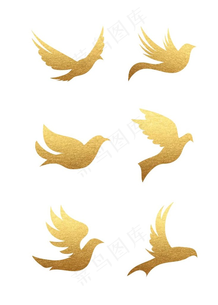 鸽子模板样机图片