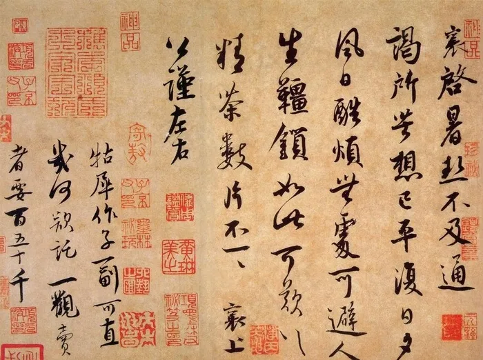 暑热帖图片