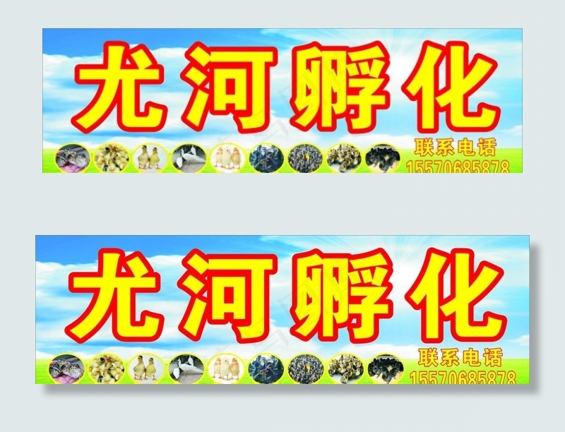 鸡苗孵化场图片(210X297)cdr矢量模版下载