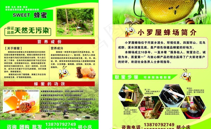 蜂蜜/养蜂宣传单图片cdr矢量模版下载