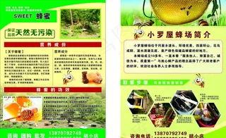 蜂蜜/养蜂宣传单图片