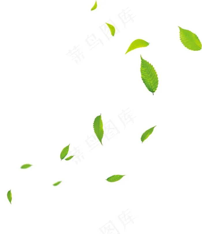 绿叶树叶叶子图片psd模版下载