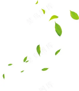 绿叶树叶叶子图片